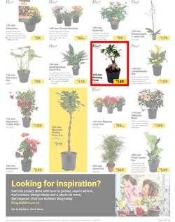 Builders : It's Bloomin Great Gardens Day (10 September - 07 October 2024), page 3