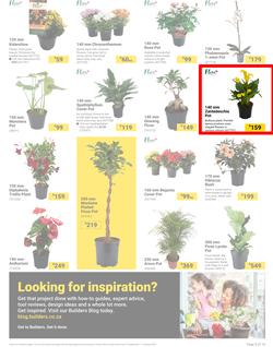 Builders : It's Bloomin Great Gardens Day (10 September - 07 October 2024), page 3