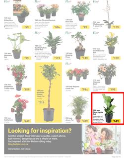 Builders : It's Bloomin Great Gardens Day (10 September - 07 October 2024), page 3