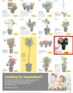 Builders : It's Bloomin Great Gardens Day (10 September - 07 October 2024), page 3