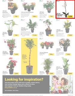 Builders : It's Bloomin Great Gardens Day (10 September - 07 October 2024), page 3