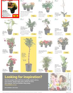 Builders : It's Bloomin Great Gardens Day (10 September - 07 October 2024), page 3