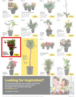 Builders : It's Bloomin Great Gardens Day (10 September - 07 October 2024), page 3