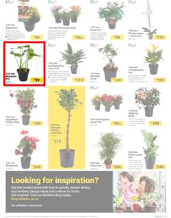 Builders : It's Bloomin Great Gardens Day (10 September - 07 October 2024), page 3