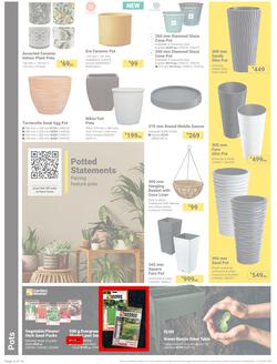 Builders : It's Bloomin Great Gardens Day (10 September - 07 October 2024), page 4