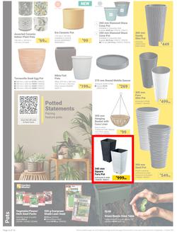 Builders : It's Bloomin Great Gardens Day (10 September - 07 October 2024), page 4