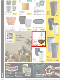 Builders : It's Bloomin Great Gardens Day (10 September - 07 October 2024), page 4