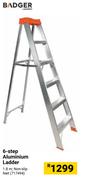 Badger 6 Step Aluminium Ladder