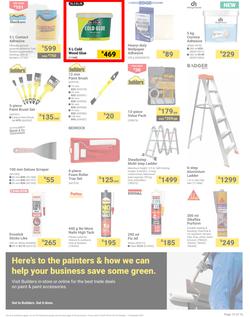 Builders : It's Paint That Vision To Life Day (29 October - 09 December 2024), page 15