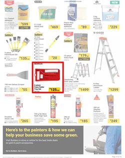 Builders : It's Paint That Vision To Life Day (29 October - 09 December 2024), page 15