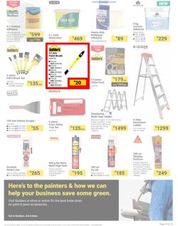 Builders : It's Paint That Vision To Life Day (29 October - 09 December 2024), page 15