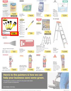 Builders : It's Paint That Vision To Life Day (29 October - 09 December 2024), page 15