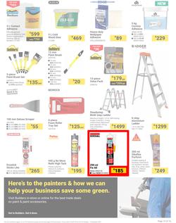 Builders : It's Paint That Vision To Life Day (29 October - 09 December 2024), page 15