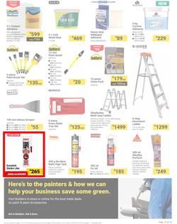 Builders : It's Paint That Vision To Life Day (29 October - 09 December 2024), page 15