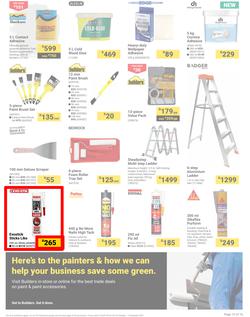 Builders : It's Paint That Vision To Life Day (29 October - 09 December 2024), page 15