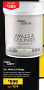Fired Earth Walls & Ceilings 561201-20Ltr