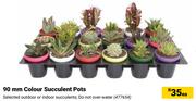 90mm Colour Succulent Pots-Each
