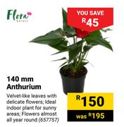 Flora 140mm Anthurium