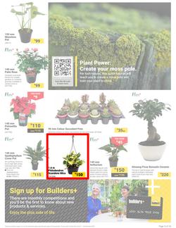 Builders : It's Own Summer Day (03 December - 30 December 2024), page 5