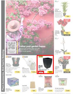 Builders : It's Own Summer Day (03 December - 30 December 2024), page 6