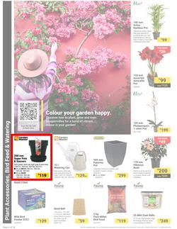 Builders : It's Own Summer Day (03 December - 30 December 2024), page 6