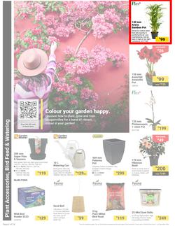 Builders : It's Own Summer Day (03 December - 30 December 2024), page 6