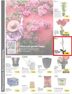 Builders : It's Own Summer Day (03 December - 30 December 2024), page 6