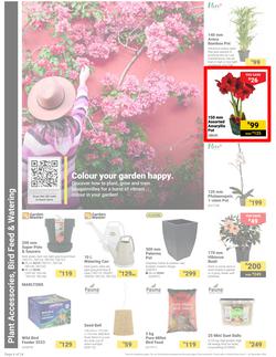 Builders : It's Own Summer Day (03 December - 30 December 2024), page 6