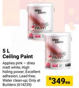 Fired Earth Ceiling Paint-5Ltr Each