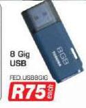 8 Gig USB-Each