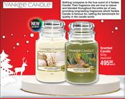 Yankee Candle Scented Candle Assorted-623g Each