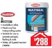 Plascon 5L Multiseal