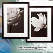 450x600mm Sepia Floral Print, Framed With Glass