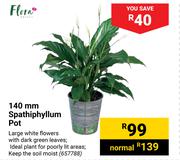 Flora 140mm Spathiphyllum Pot