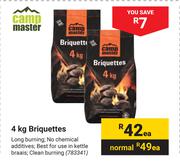 Camp Master Briquettes-Each