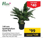Flora 140mm Spathiphyllum Cover Pot