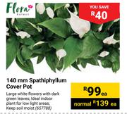 Flora 140mm Spathiphyllum Cover Pot-Each
