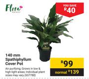 Flora 140mm Spathiphyllum Cover Pot