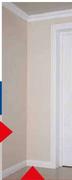 Duram Wall And Ceiling PVA In Dune-5Ltr