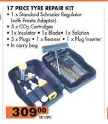 17 Piece Tyre Repair Kit TR17PC