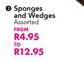 Sponges and Wedges Assorted