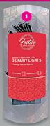 Indoor 25 Fairy Lights