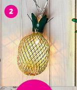 Indoor 10 LED Pineapple Lights-Each