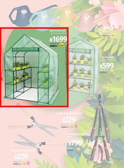 Garden Master Builders : Hello Spring (01 September - 30 October 2022), page 4