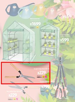 Garden Master Builders : Hello Spring (01 September - 30 October 2022), page 4