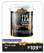 Flash Harry 5L Fix A Leak