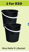 Miss Molly 9L Bucket-For 2