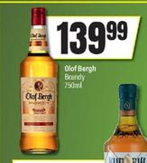 Olof Bergh Brandy-750ml