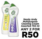 Handy Andy Multipurpose Cleaning Cream Assorted-For Any 2 x 750ml