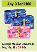 Always Maxi Or Ultra Pads-For Any 3 x 14s, 16s, 18s Or 20s